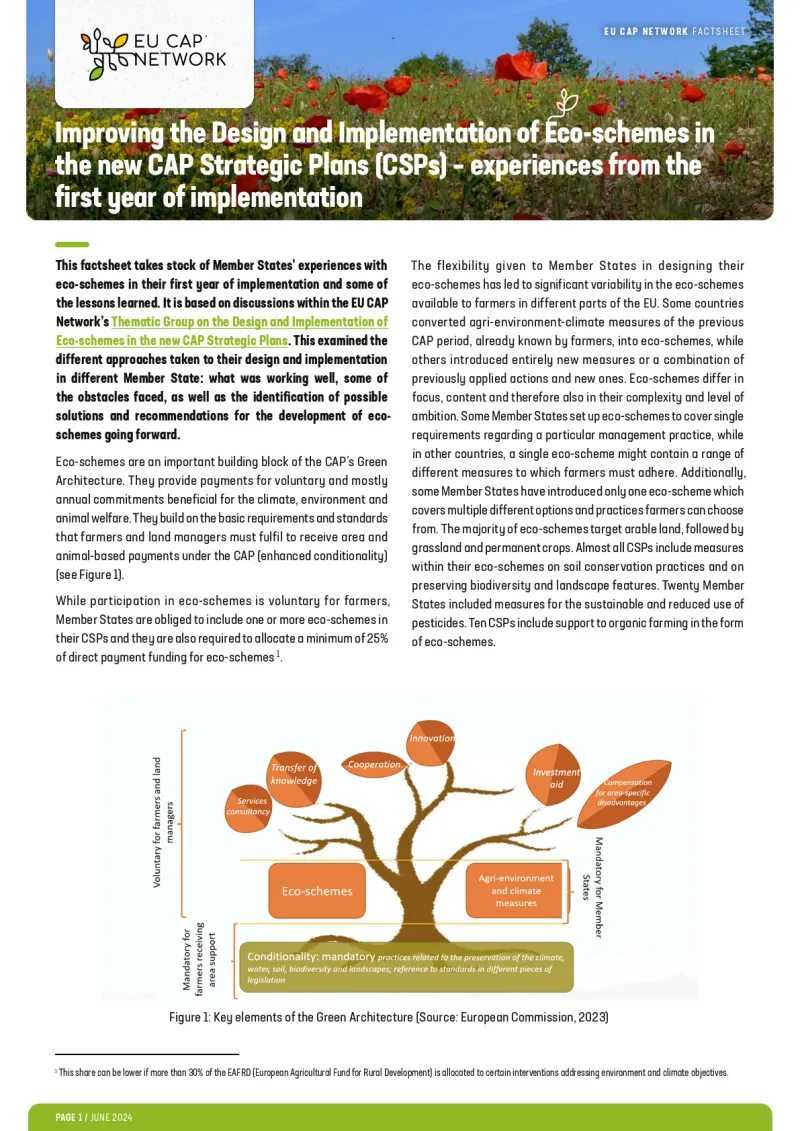 Factsheet - Improving the Design and Implementation of Eco-schemes in the new CAP Strategic Plans (CSPs) – experiences from the first year of implementation