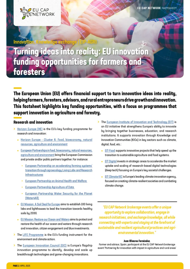 Factsheet - Turning ideas into reality: EU innovation funding opportunities for farmers and foresters