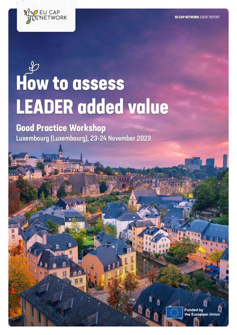 Good Practice Workshop - How to assess LEADER added value