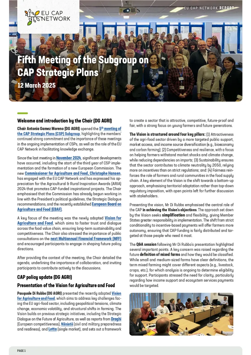 Report - Fifth Meeting of the Subgroup on CAP Strategic Plans