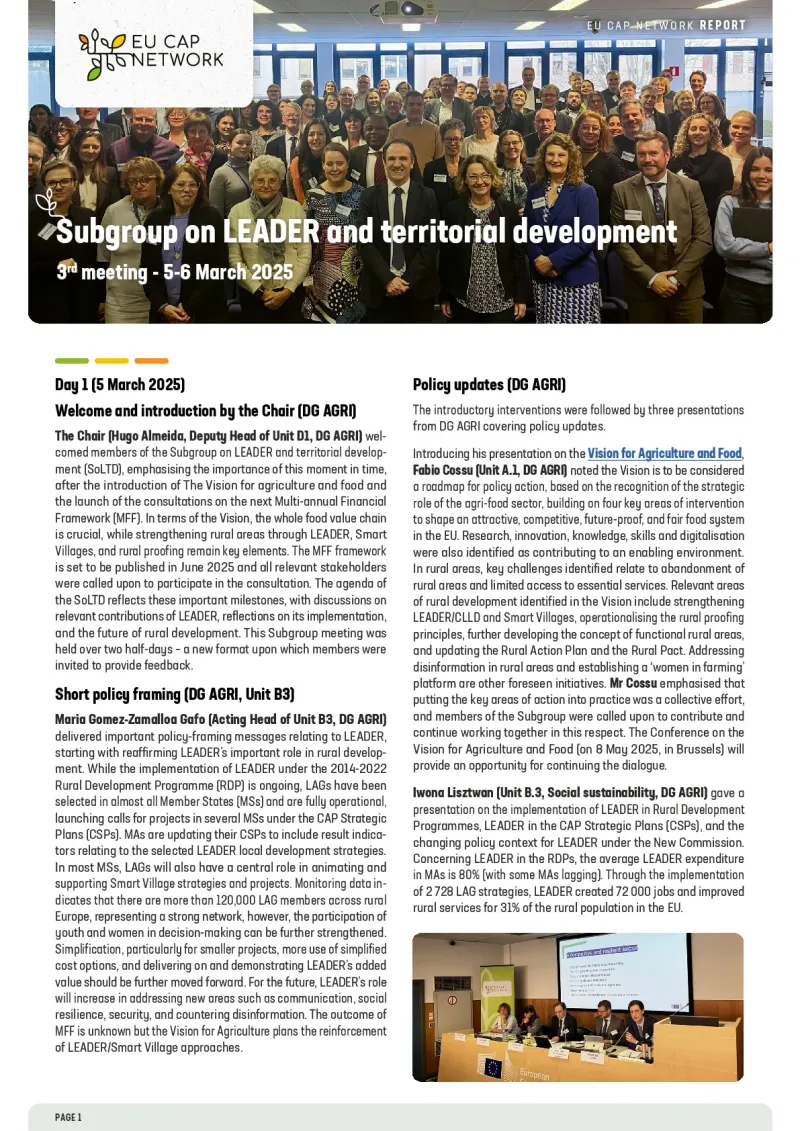Report - Subgroup on LEADER and territorial development