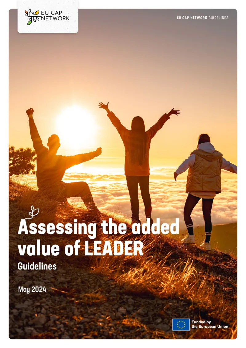 Guidelines: Assessing the added value of LEADER