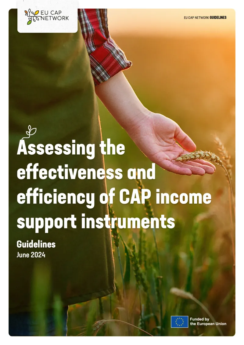 Assessing the effectiveness and efficiency of CAP income support instruments