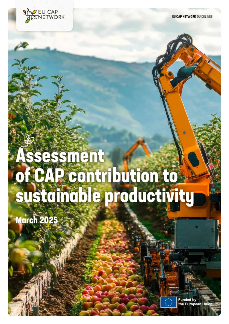 Guidelines - Assessment of CAP contribution to sustainable productivity