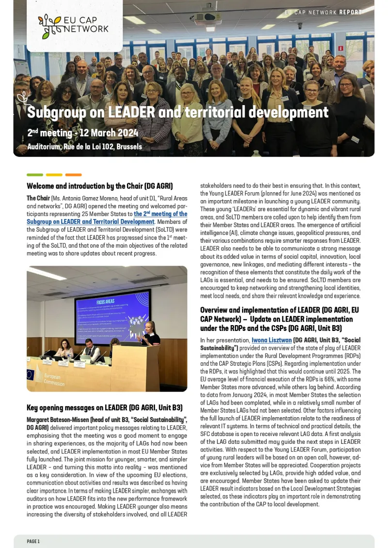Report - 2nd meeting of the Subgroup on LEADER and territorial development