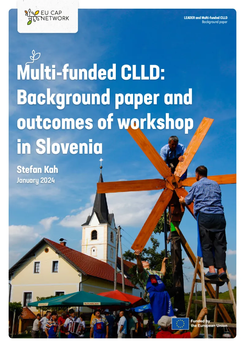 Multi-funded CLLD: Background paper and outcomes of workshop in Slovenia