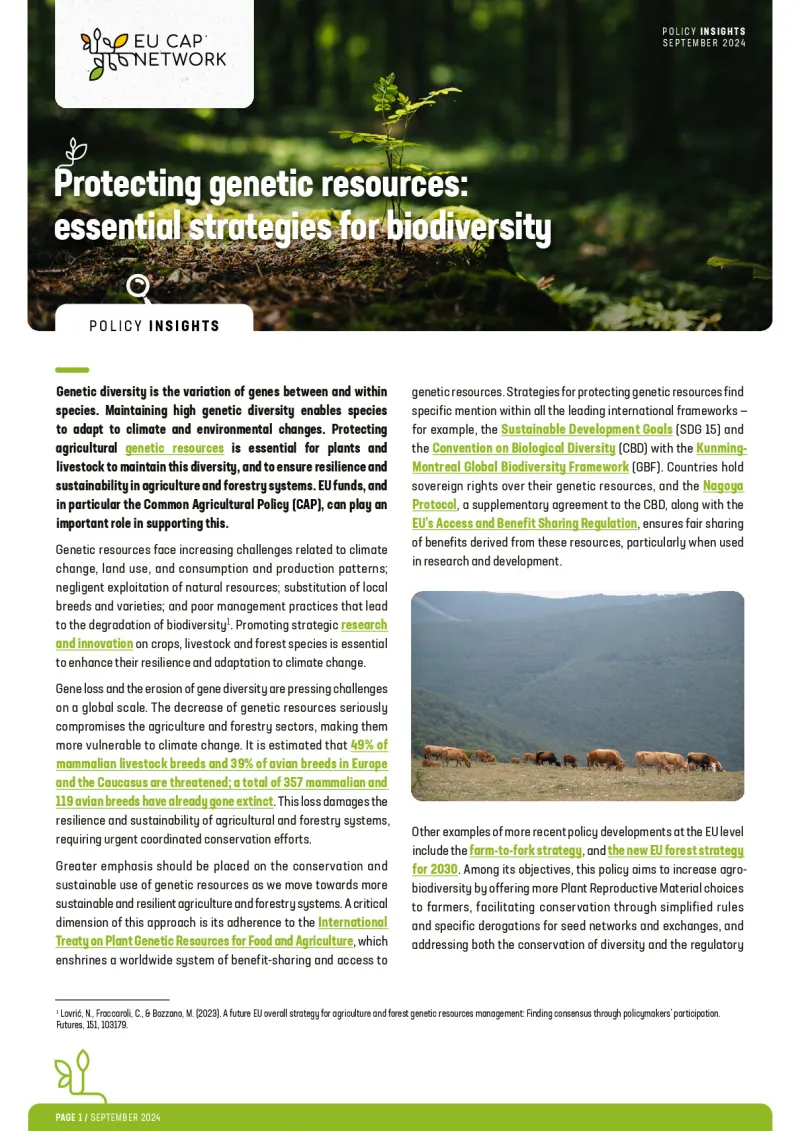 Policy Insights - Protecting genetic resources: essential strategies for biodiversity
