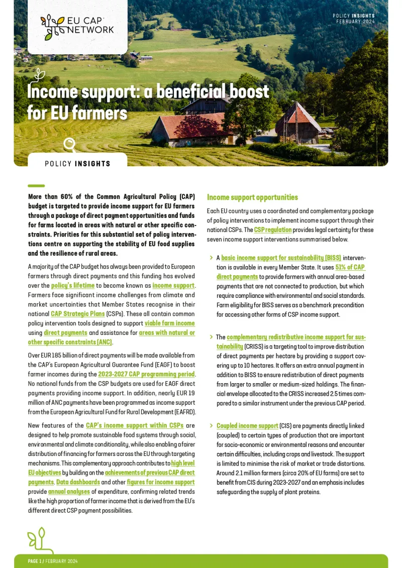 Policy Insights - Income support: a beneficial boost for EU farmers