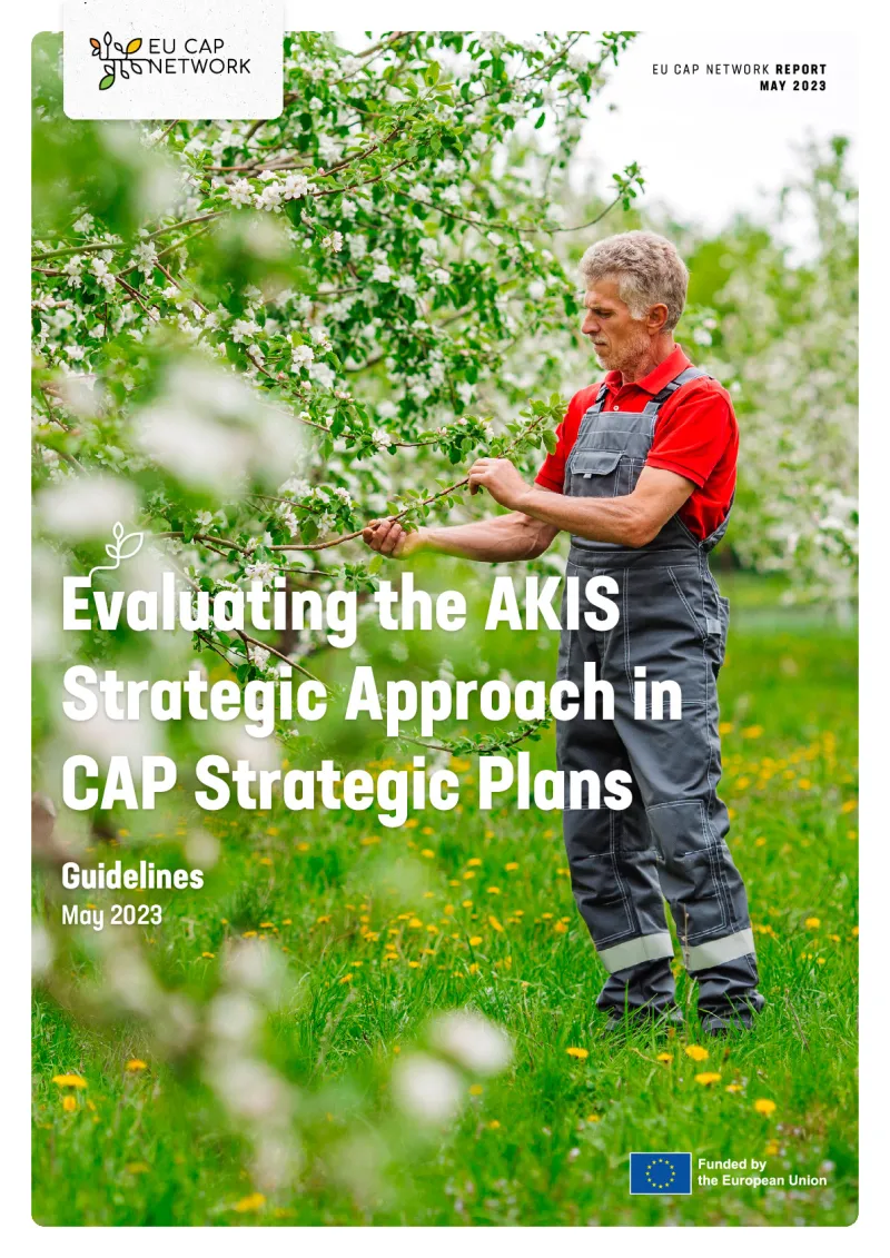 Guidelines: Evaluating the AKIS Strategic Approach in CAP Strategic Plans