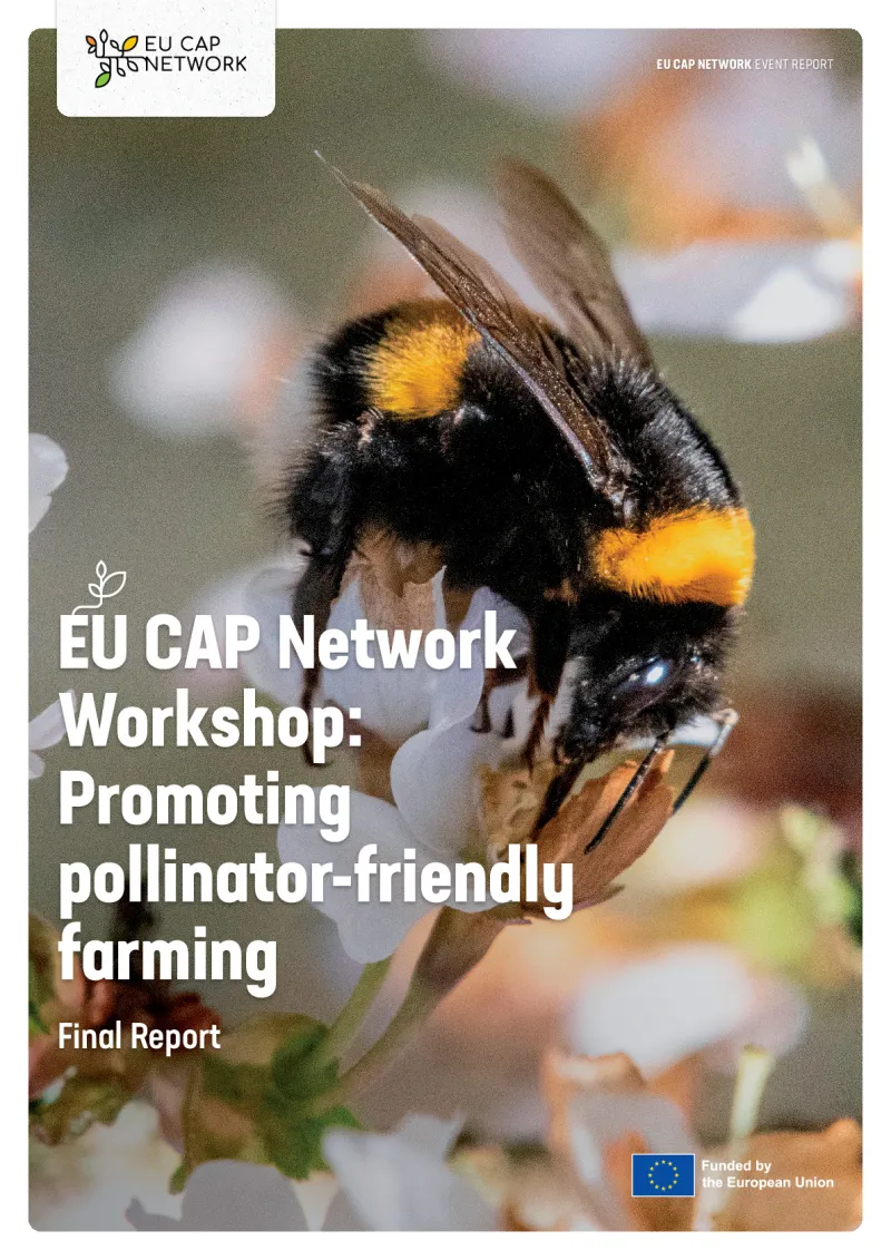 Report - EU CAP Network Workshop ‘Promoting pollinator-friendly farming’