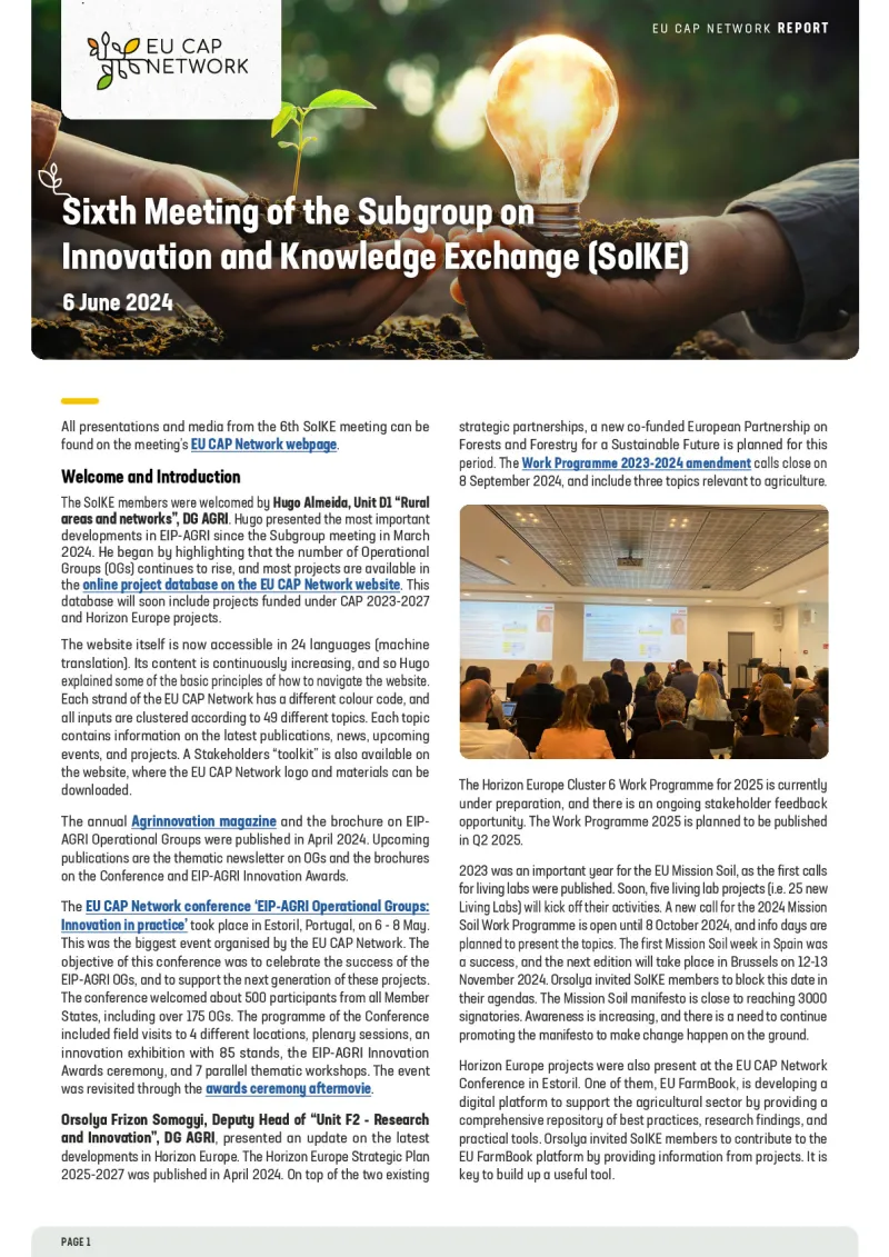 Report - Sixth Meeting of the Subgroup on Innovation and Knowledge Exchange (SoIKE)