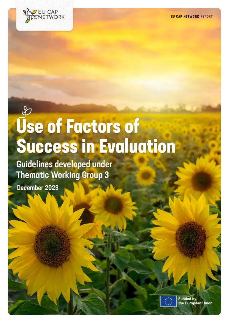 Report - Use of Factors of Success in Evaluation