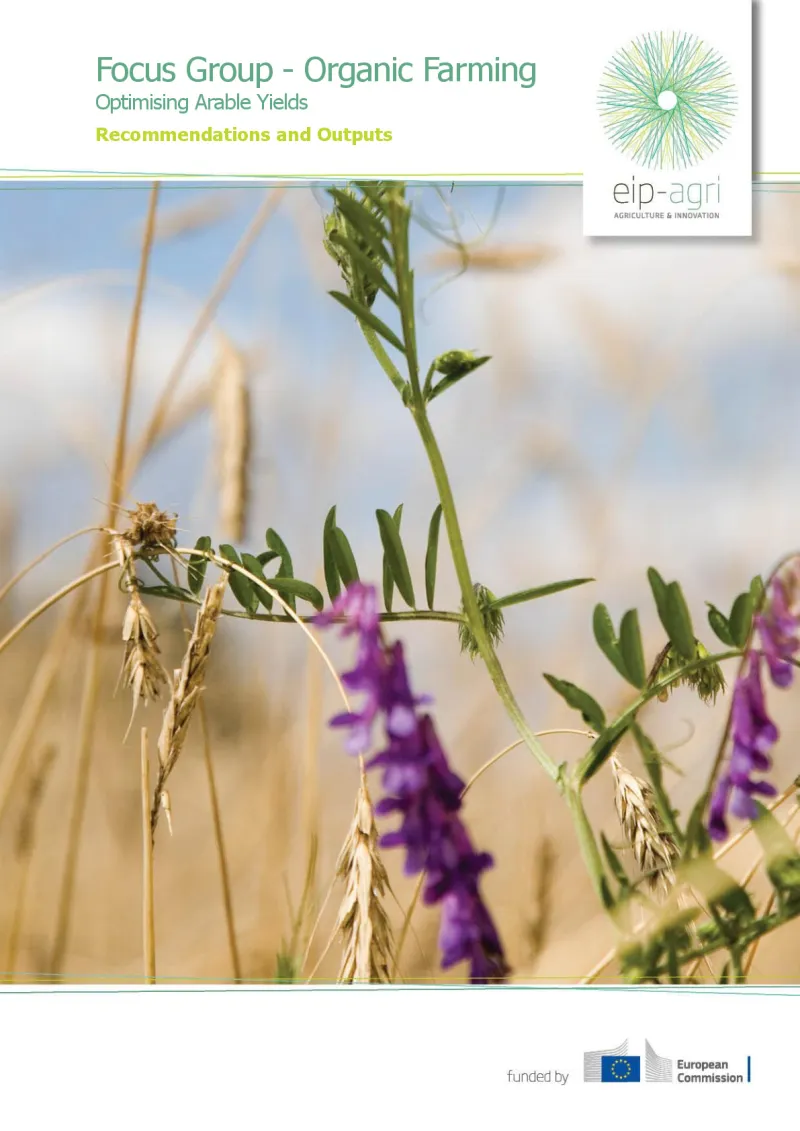 Focus Group Organic Farming: Final report (English version)