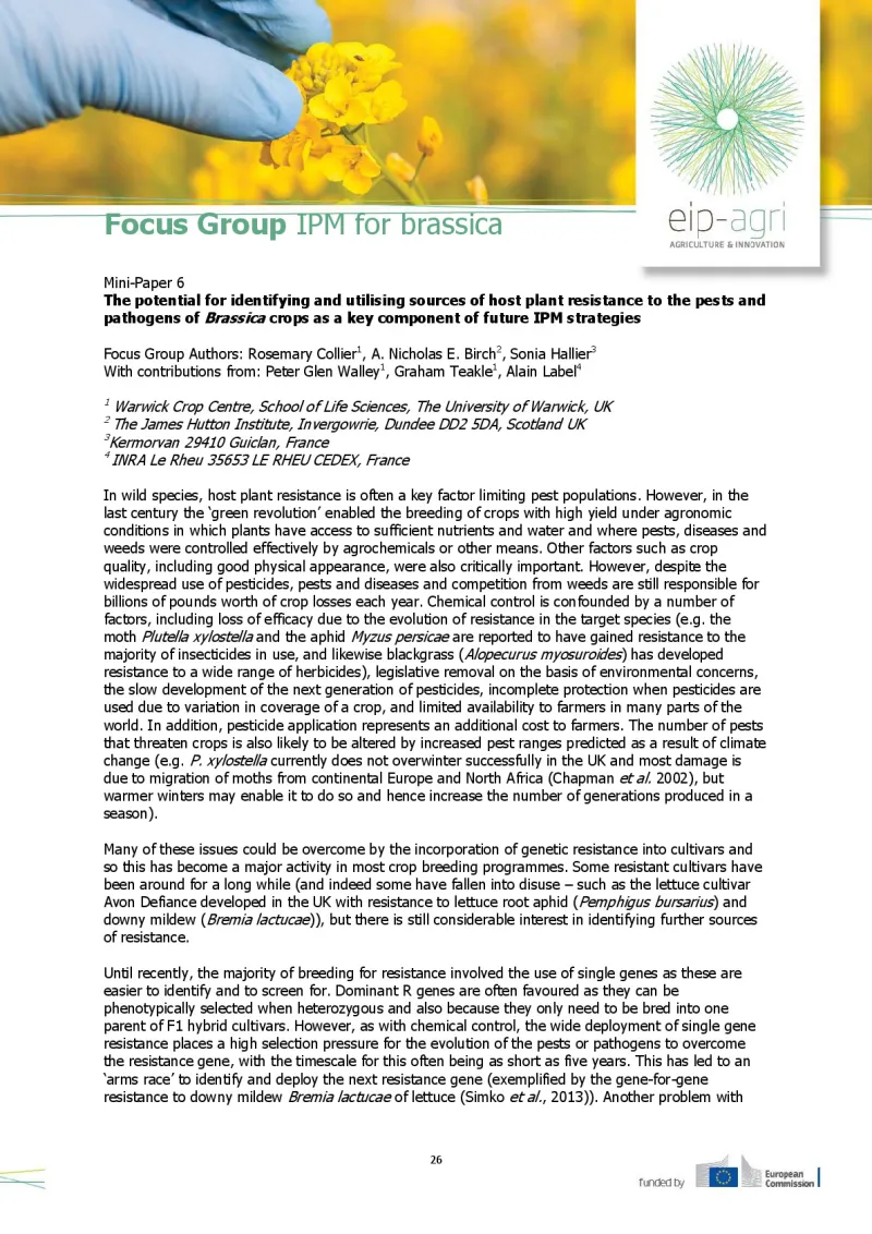 fg6_ipm_brassica_minipaper6_2015_en.pdf