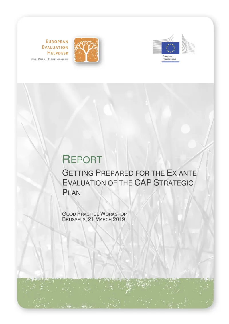 gpw10_brussels_report.pdf
