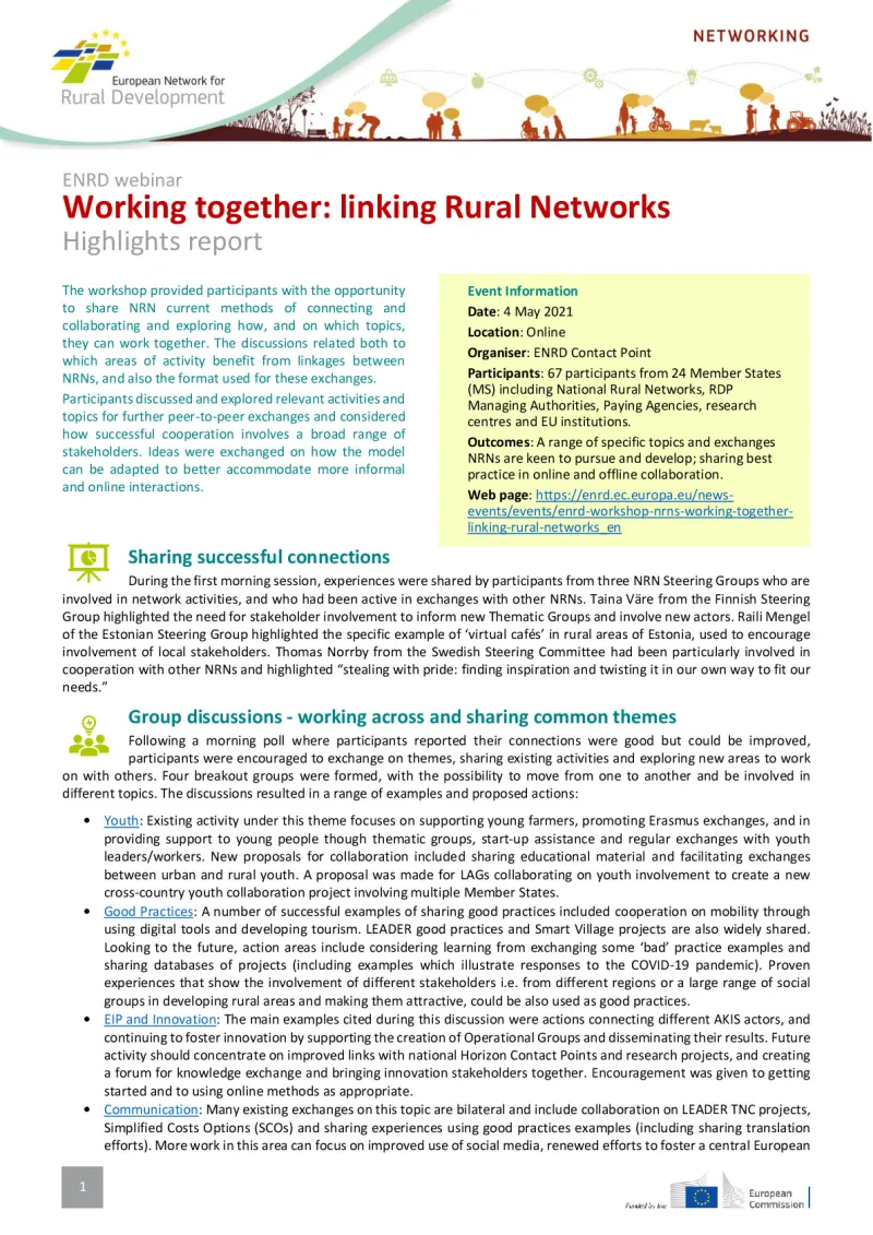 highlights_report-ws-nrn-clusters-revised.pdf
