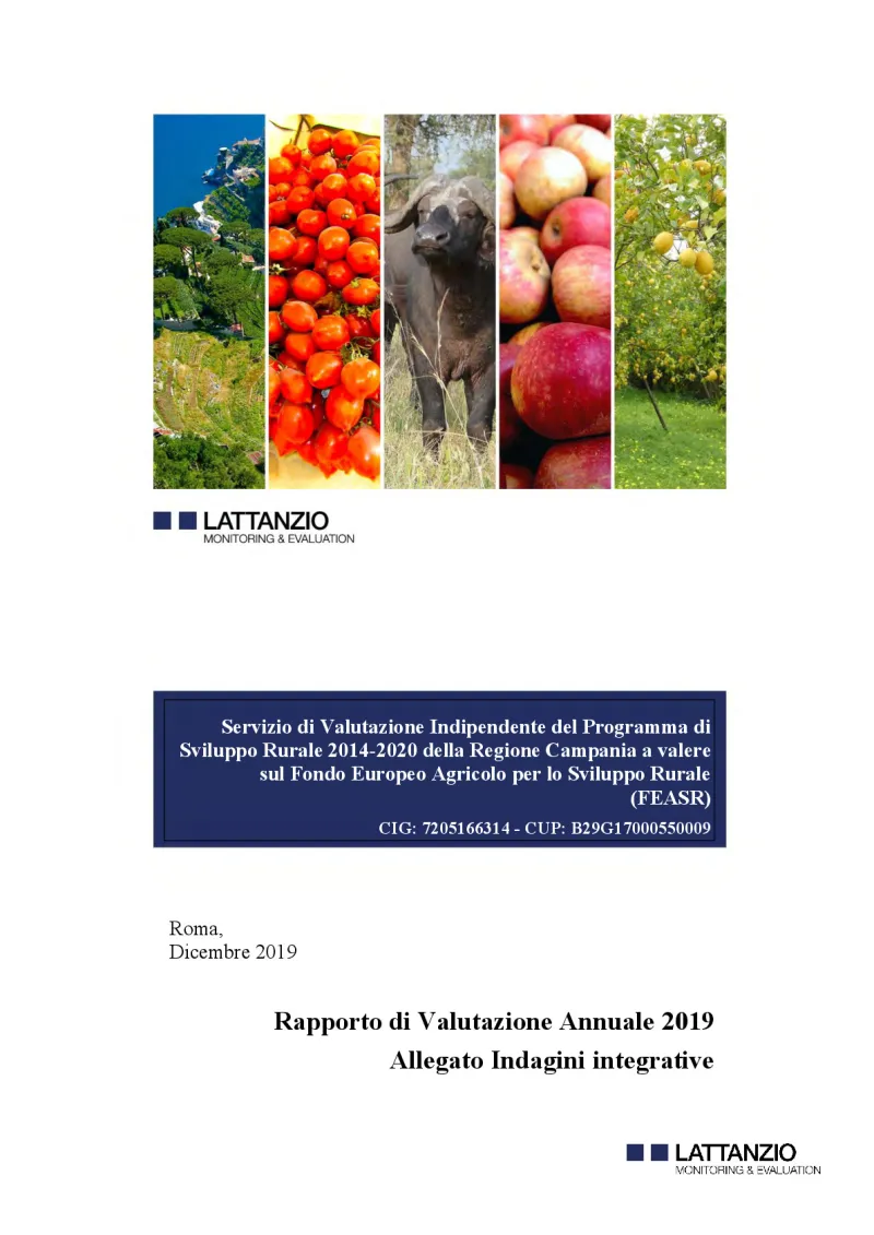 indagini_specifiche_rva_2019.pdf