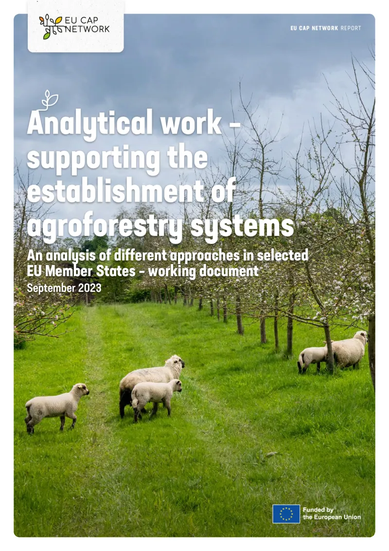 Monitoring Data Summaries - Analytical work: supporting the establishment of agroforestry systems
