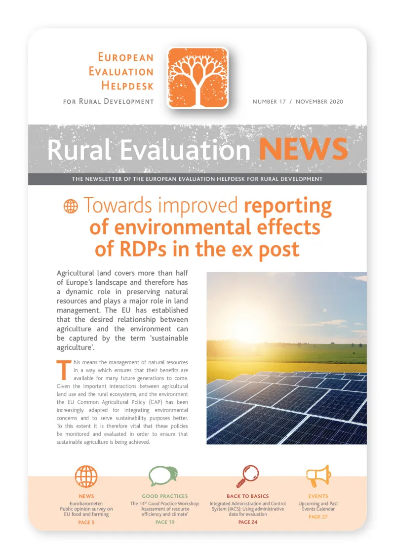 newsletter-17_en.pdf