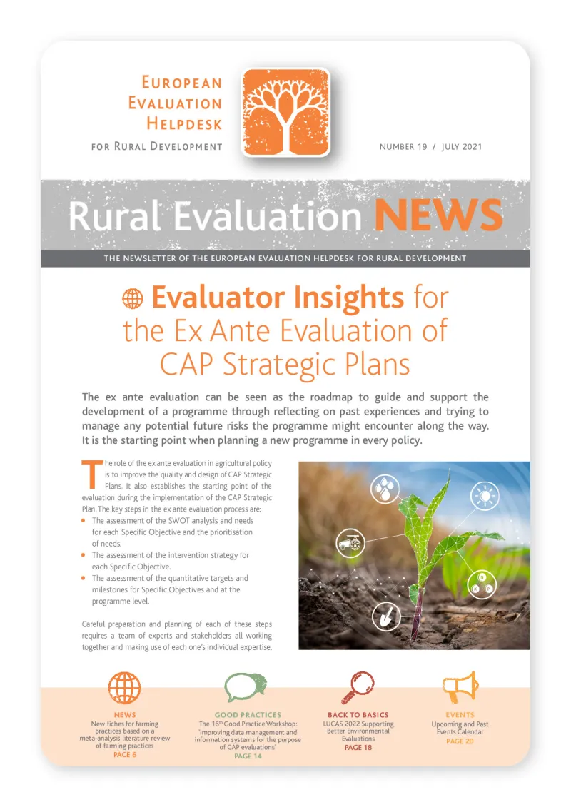 newsletter-19_en.pdf