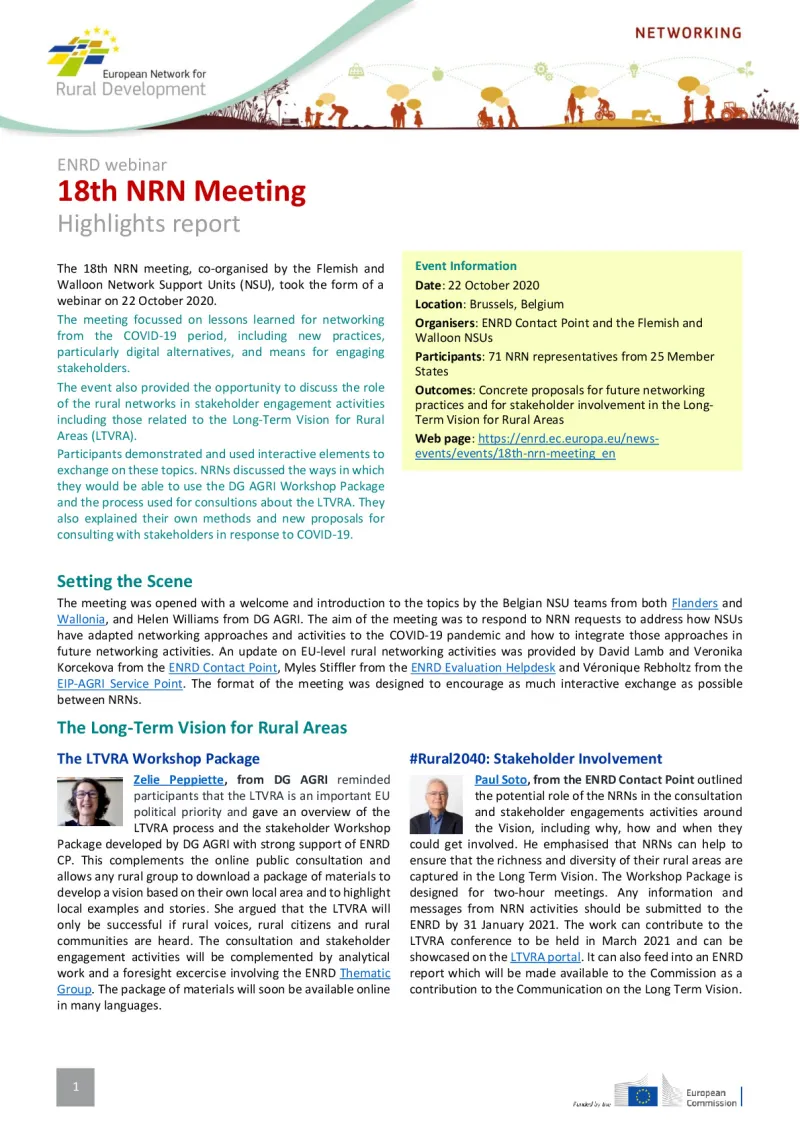 nrn18_report.pdf