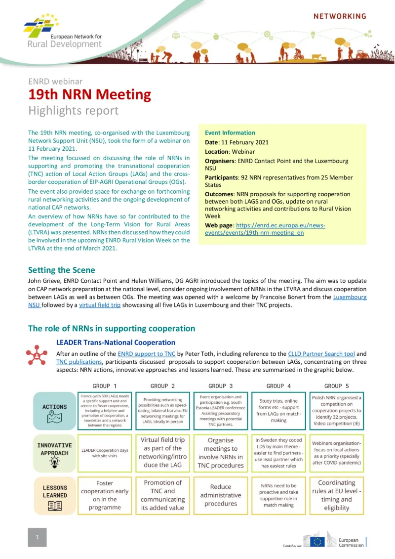 nrn19_report_final.pdf