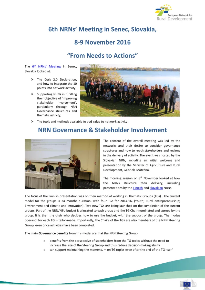 nrn6_report_0.pdf