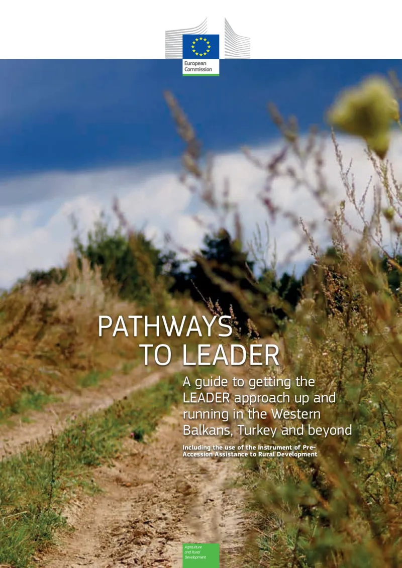 pathways-to-leader.pdf