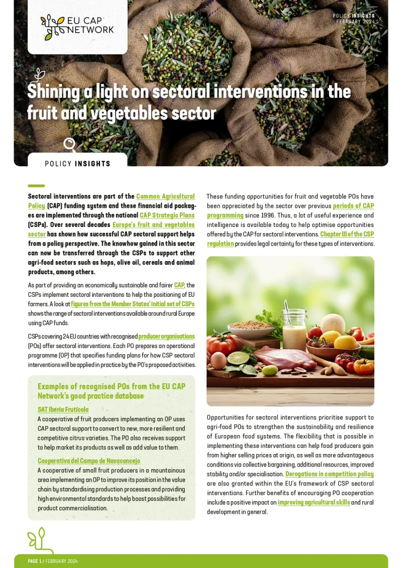 Policy Insights - Shining a light on sectoral interventions in the fruit and vegetables sector