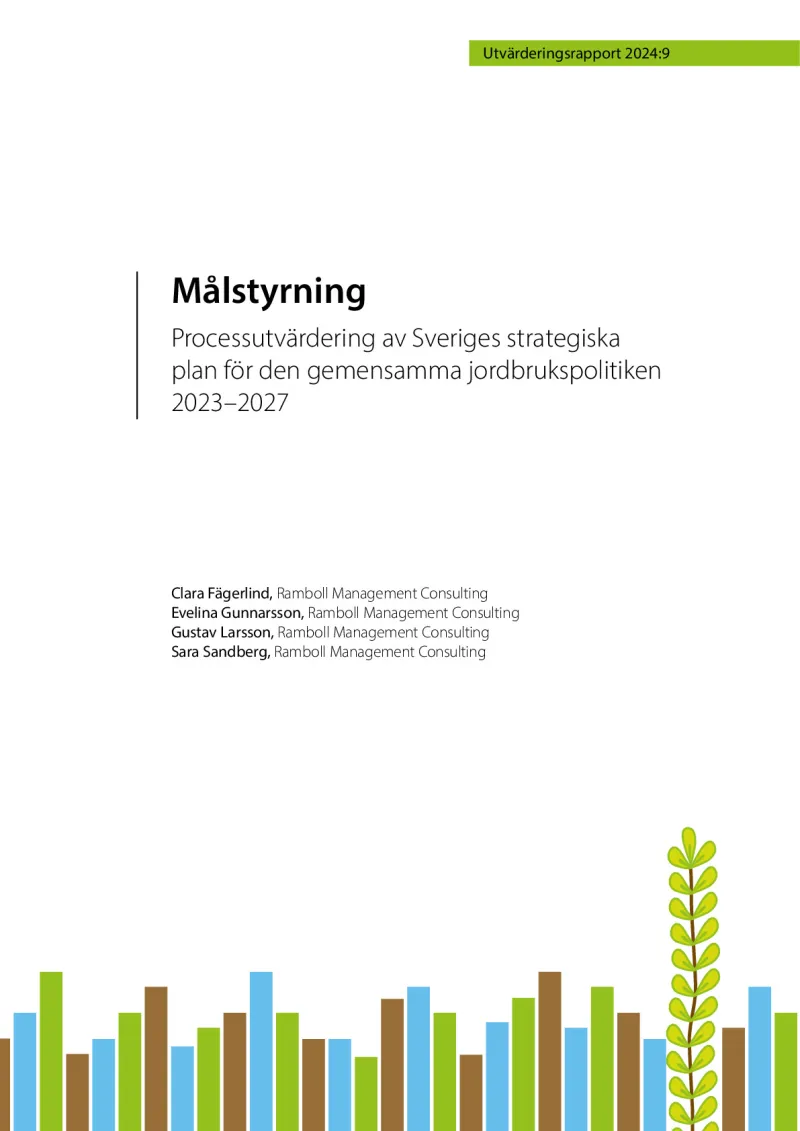 Process evaluation strategic plan