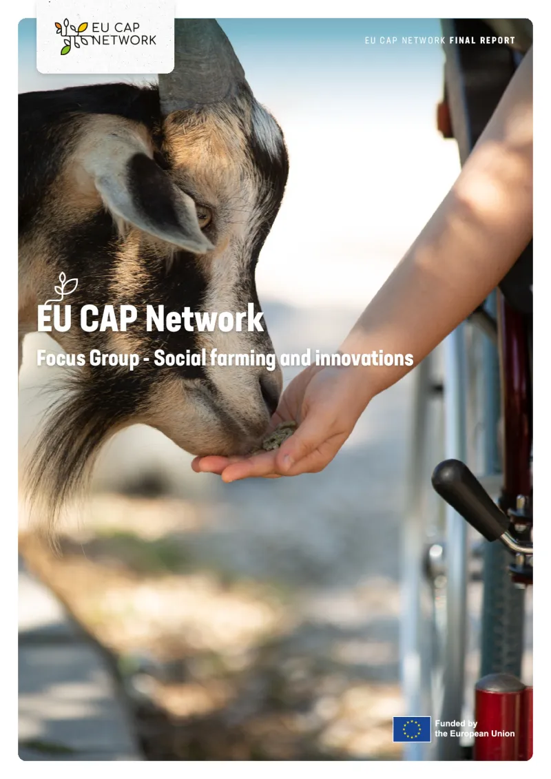 Report - EU CAP Network Focus Group Social farming and innovations