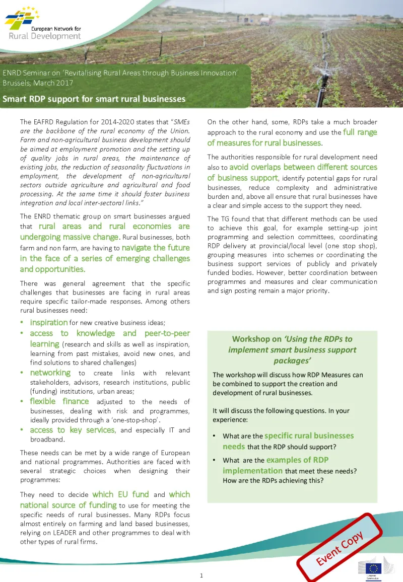 s4_rural-businesses-factsheet-rdp-measures_0.pdf