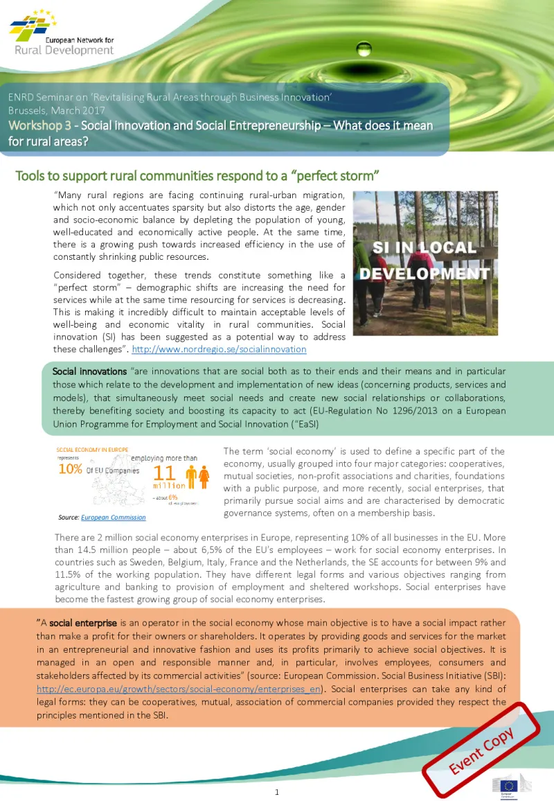 s4_rural-businesses-factsheet-social-innovation_0.pdf