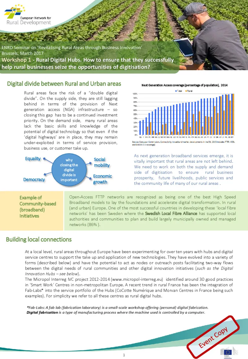 s4_rural-businesses-factsheet_digital-hubs_0.pdf