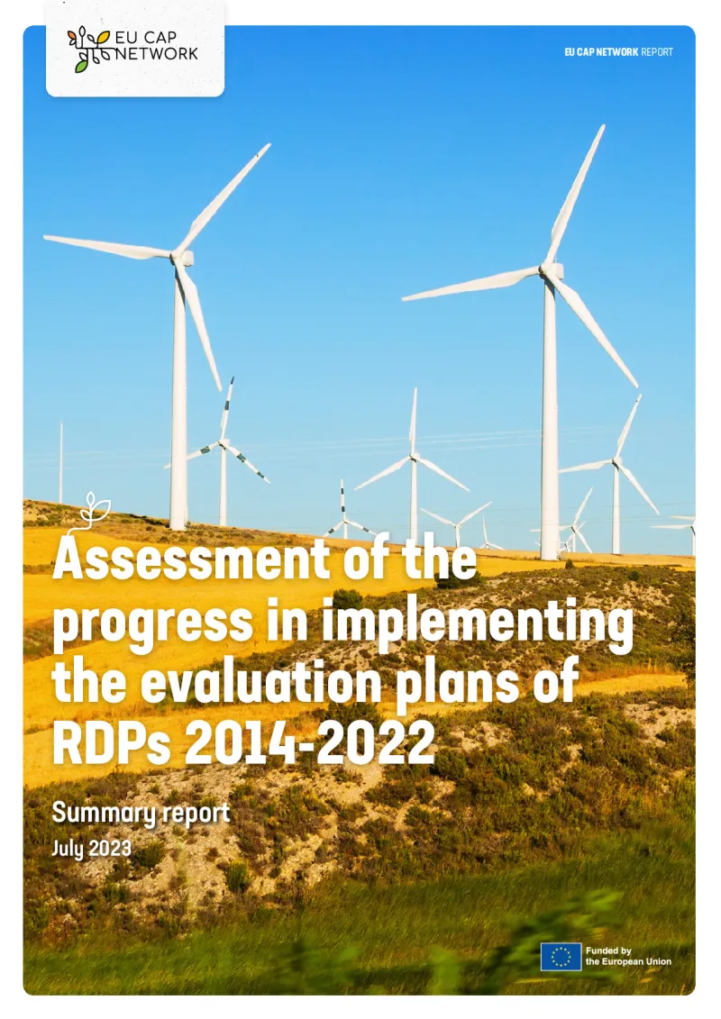 Summary Report - Assessment of the progress in implementing the evaluation plans of RDPs 2014-2022