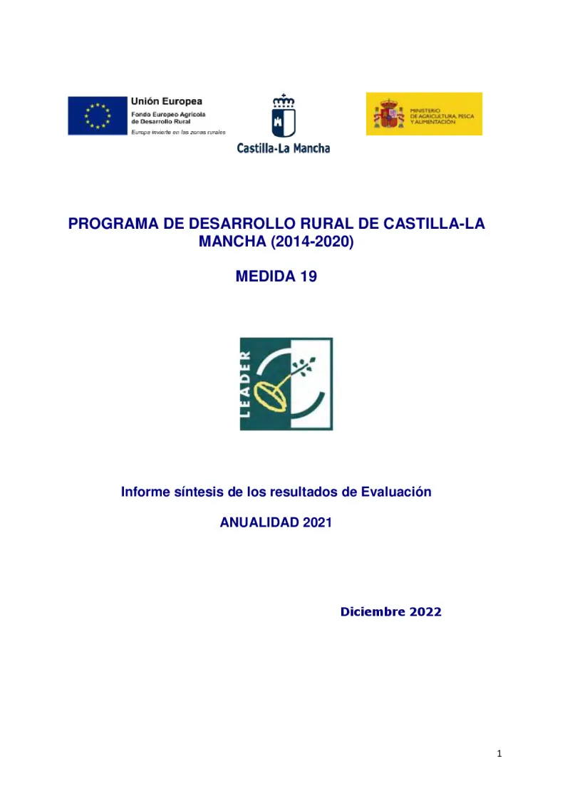 Synthesis report on LEADER support to local development