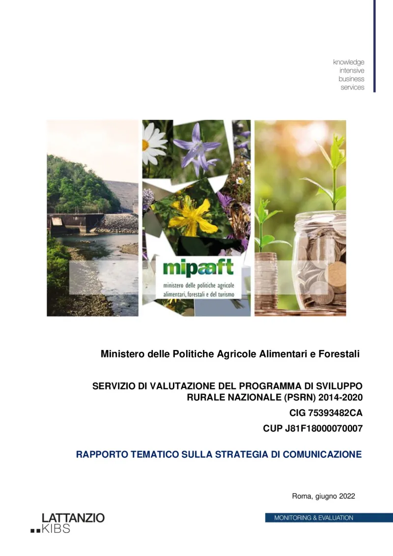Thematic report on communication strategy