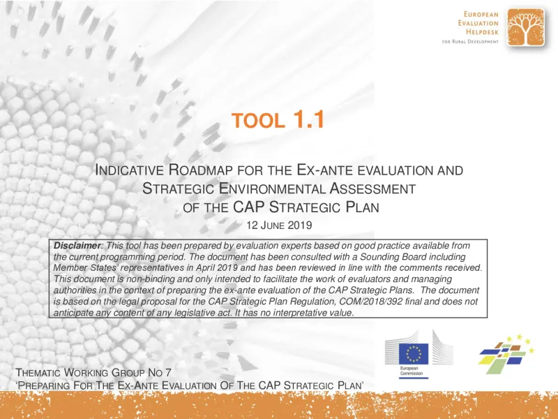 tool_1_1_roadmap_0.pdf