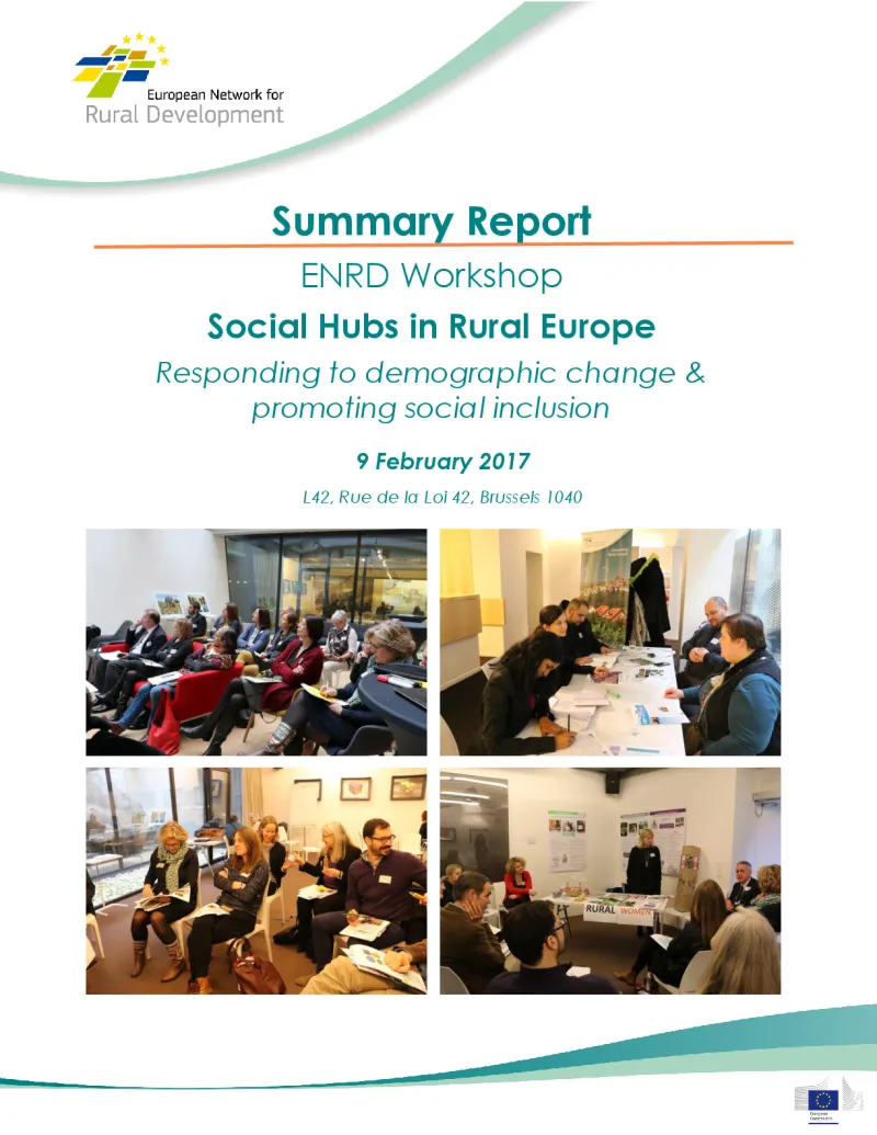 w15_social-inclusion_summary-report_0.pdf