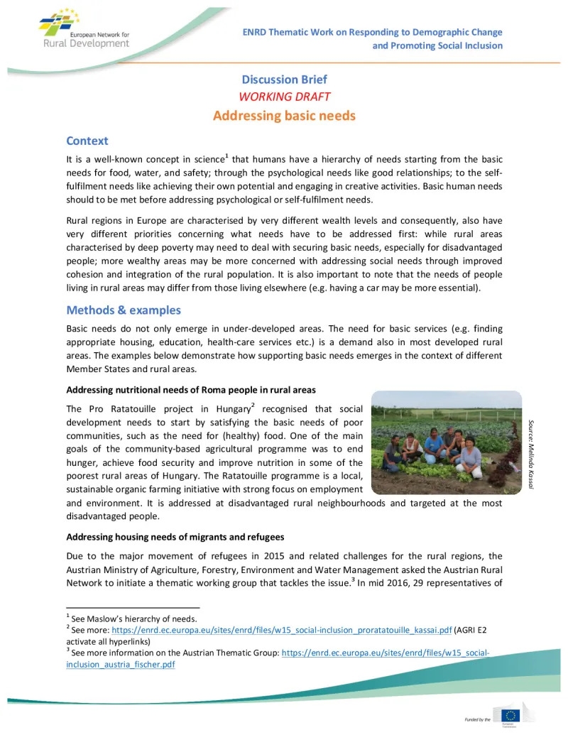 w20_social-inclusion_brief_addressing-basic-needs_0.pdf