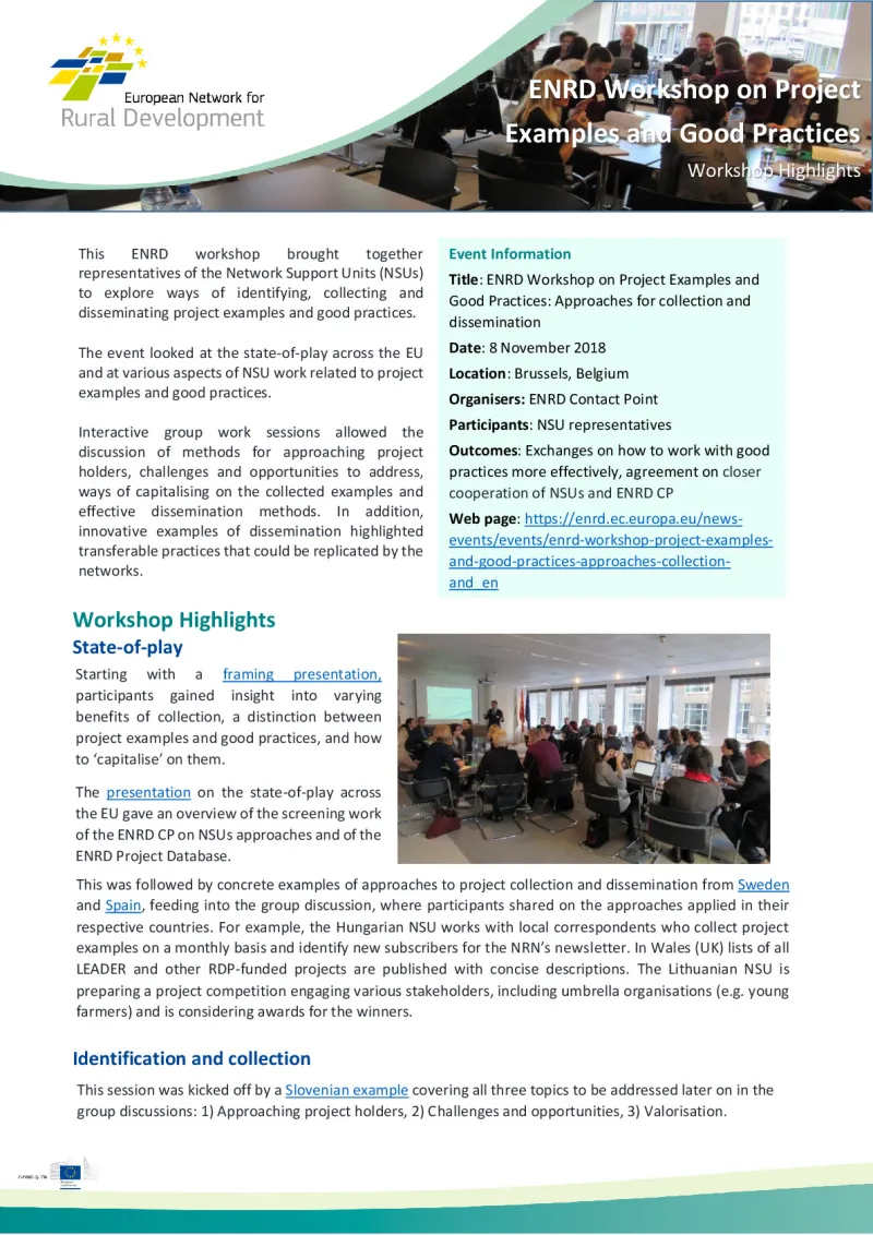 ws31_nrn-project-examples_highlights_0.pdf