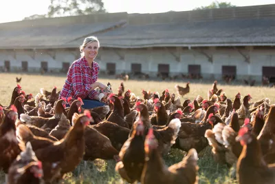 A woman sitting on a chair surrounded by chickens for EU CAP Network Workshop 'Animal welfare and innovation'