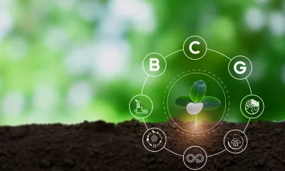 A plant growing out of the ground with the Circular Bio-Economy logo