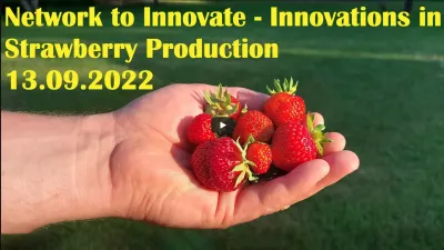 Network to Innovate