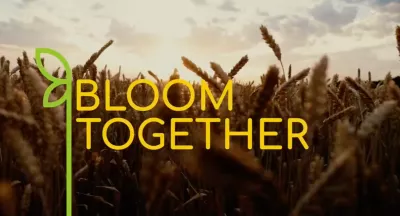 Bloom Together