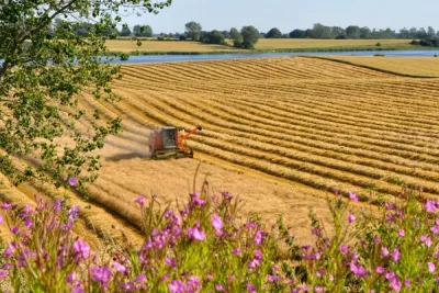 An agricultural red machine in a field 