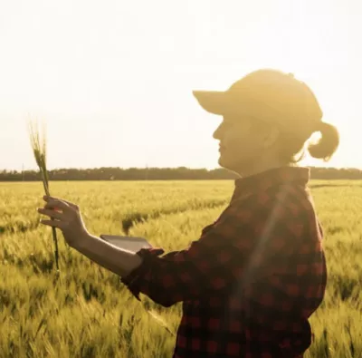 A woman looking at a plant on a field with the sun shining in the background