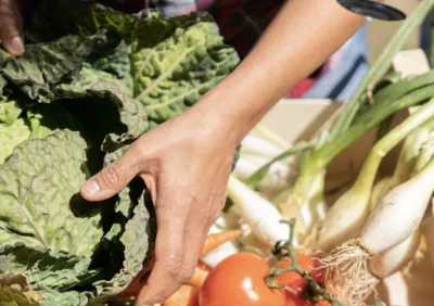 A person taking vegetables from a box