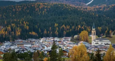 A village surrounded by a thick forest