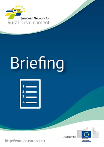 enrd-publications_briefing_25.png